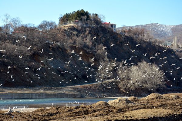 Biyolojik Çeşitliliği Kayıt Altına Alınıyor galerisi resim 5