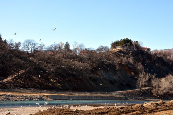 Biyolojik Çeşitliliği Kayıt Altına Alınıyor galerisi resim 6