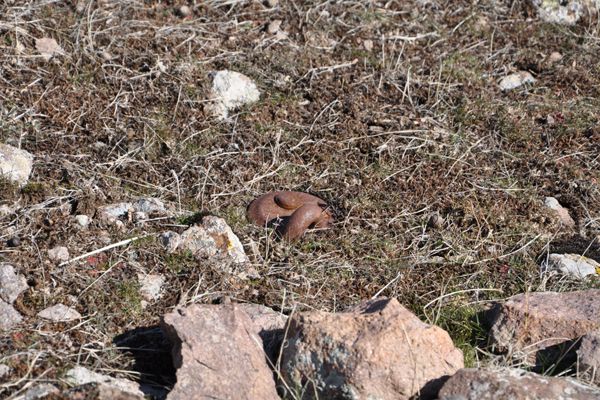 Tunceli’de çıkarılmayan mayınlar yaşamı tehdit edi galerisi resim 1