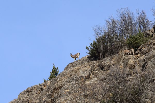 Tunceli'de Doğayla İç İçe Kaplıca galerisi resim 1