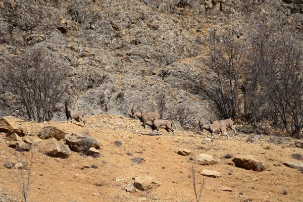 Tunceli'de Doğayla İç İçe Kaplıca galerisi resim 5