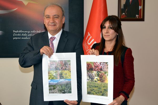 Tunceli’de iki yeni Kenger türü tespit edildi galerisi resim 4