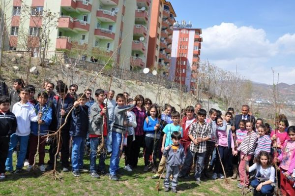 Belediye ve Ekoloji Komisyonu Fidan Dikti galerisi resim 1