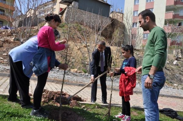 Belediye ve Ekoloji Komisyonu Fidan Dikti galerisi resim 3