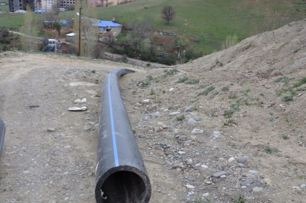 Eş Başkan Nurhayat Altun, Çalışmaları Yerinde İnce galerisi resim 3