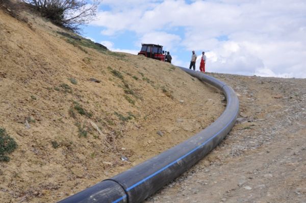 Eş Başkan Nurhayat Altun, Çalışmaları Yerinde İnce galerisi resim 6