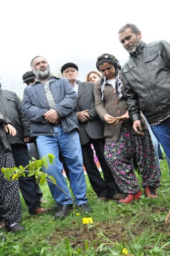 Berkin İçin Ovacık’ta  Fidan Dikti galerisi resim 5