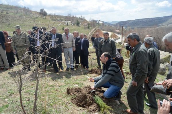 Hozat’ta fidan dikimi gerçekleşti galerisi resim 4