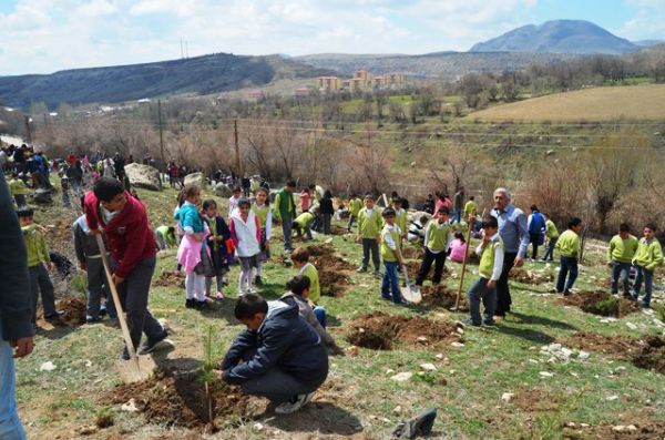 Hozat’ta fidan dikimi gerçekleşti galerisi resim 5