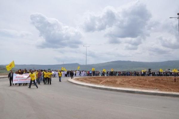 Veteriner ataması, Üniversiteyi ayaklandırdı galerisi resim 4