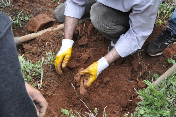 Dersim’de her yerden kemik fışkırıyor! galerisi resim 4