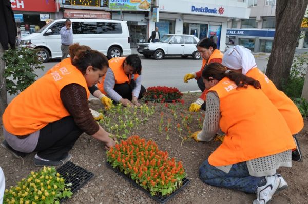 Yeşil Alanlar Mevsimlik Çiçeklerle Süslendi galerisi resim 3