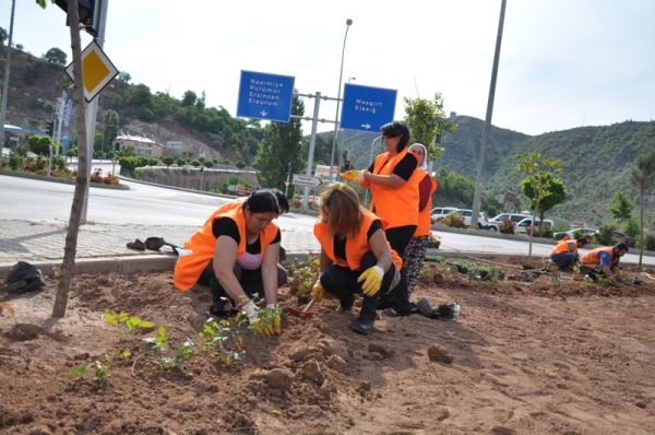 Yeşillendirme Çalışmaları Sürüyor galerisi resim 2