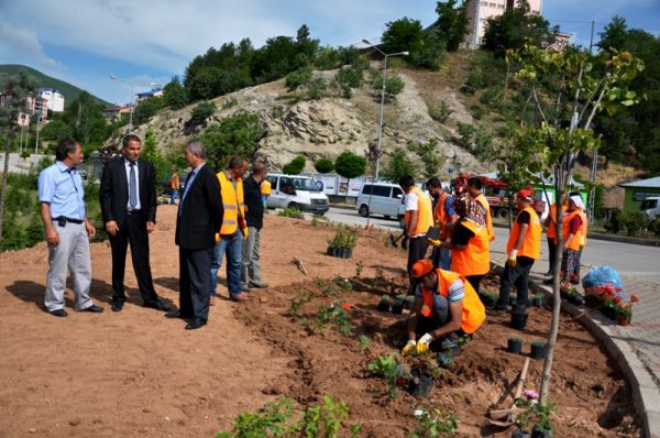 Yeşillendirme Çalışmaları Sürüyor galerisi resim 3