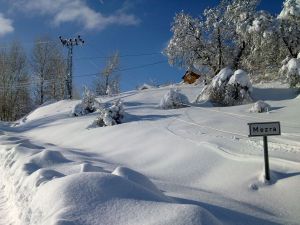 Tunceli’de karanlıkta kalan köylere enerji verilme