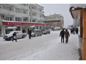 Tunceli’de yoğun kar yağışıyla birlikte oluşan gör