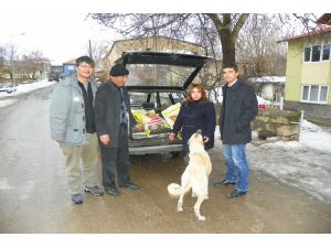 Çemişgezek, Sokak Köpeklerine Sahip Çıkıyor