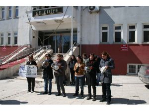 İşsiz Kalan Kadınlardan, Tencere Tavalı Protesto