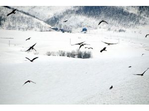 Tunceli'de İki Mevsim