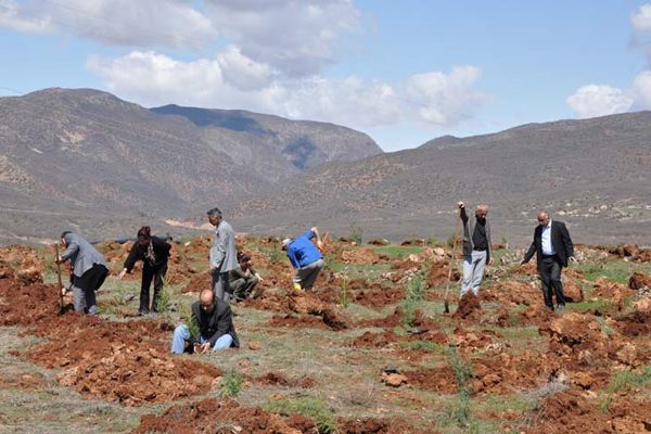 Tunceli Üniversitesi 3000 Fidan Dikti galerisi resim 1