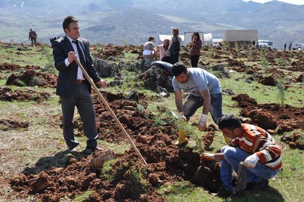 Tunceli Üniversitesi 3000 Fidan Dikti galerisi resim 3