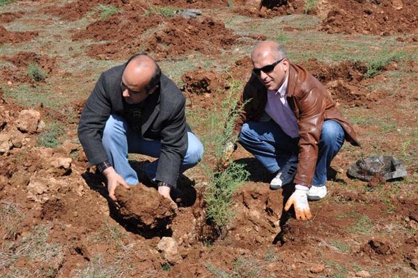 Tunceli Üniversitesi 3000 Fidan Dikti galerisi resim 4