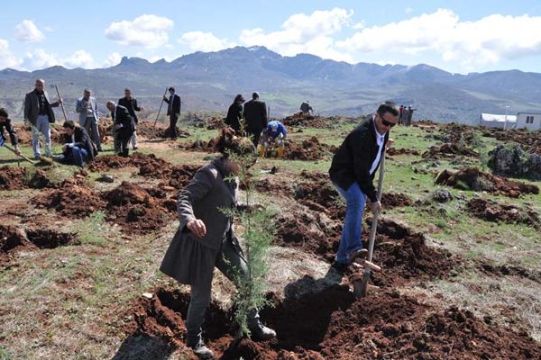 Tunceli Üniversitesi 3000 Fidan Dikti galerisi resim 5