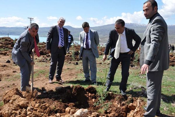 Tunceli Üniversitesi 3000 Fidan Dikti galerisi resim 7