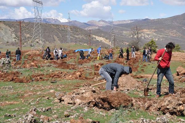 Tunceli Üniversitesi 3000 Fidan Dikti galerisi resim 8