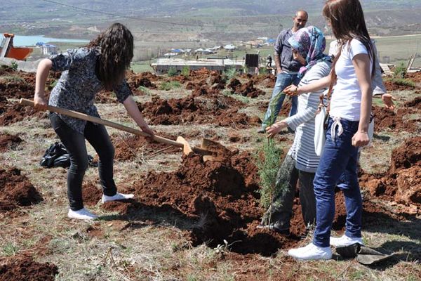 Tunceli Üniversitesi 3000 Fidan Dikti galerisi resim 9