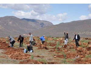 Tunceli Üniversitesi 3000 Fidan Dikti