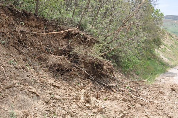 Tunceli’de Çatışmalar devam ediyor galerisi resim 6