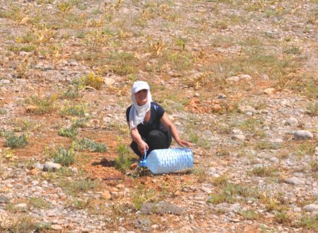 Ovacık'ta "Toplum Yararına Çalışma Projesi" galerisi resim 1