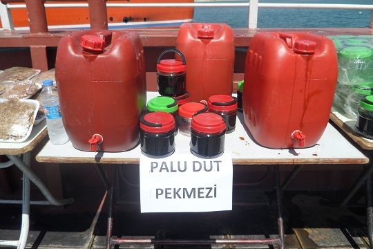 Palululardan Pertek ziyareti galerisi resim 4