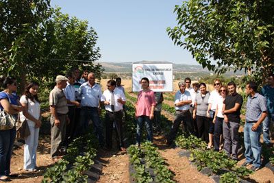 İl Müdürlüğü tarla günü düzenledi galerisi resim 2