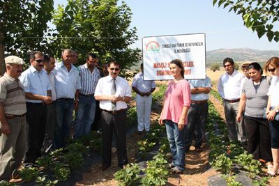 İl Müdürlüğü tarla günü düzenledi galerisi resim 3