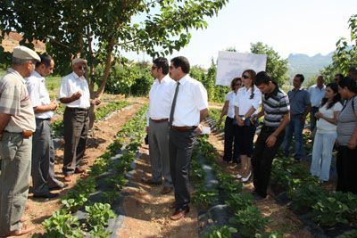 İl Müdürlüğü tarla günü düzenledi galerisi resim 4