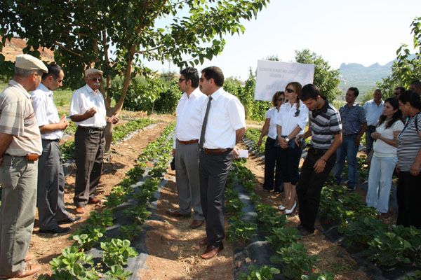 Aktuluk Köyünde tarla günü düzenlendi galerisi resim 3