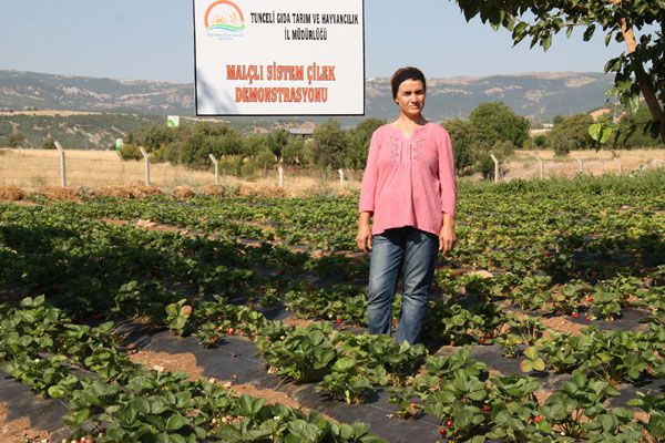 Aktuluk Köyünde tarla günü düzenlendi galerisi resim 4