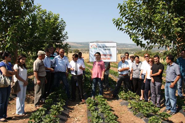 Aktuluk Köyünde tarla günü düzenlendi galerisi resim 5