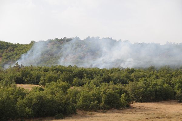 Tunceli'de Orman Yangınları devam ediyor galerisi resim 1