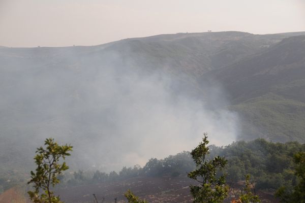 Tunceli'de Orman Yangınları devam ediyor galerisi resim 4