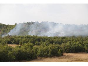 Tunceli'de Orman Yangınları devam ediyor