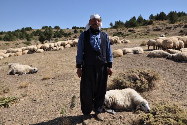 GÖÇERLER DÖNÜŞE GEÇTİ galerisi resim 5