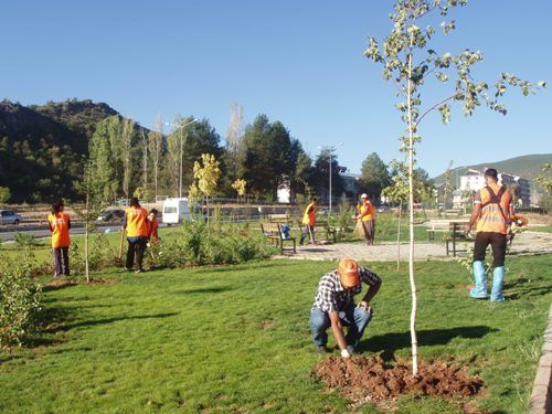 Asme Park’ında Temizlik Çalışması galerisi resim 3