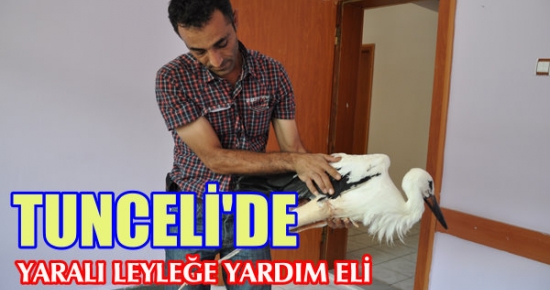 Tunceli'de Yaralı Leyleğe Yardım Eli