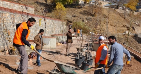 Parklarda Bakım ve Ağaç Dikme Çalışmaları Sürüyor