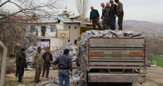 ÇEMİŞGEZEK KAYMAKAMLIĞI 515 HANEYE KÖMÜR YARDIMI YAPTI