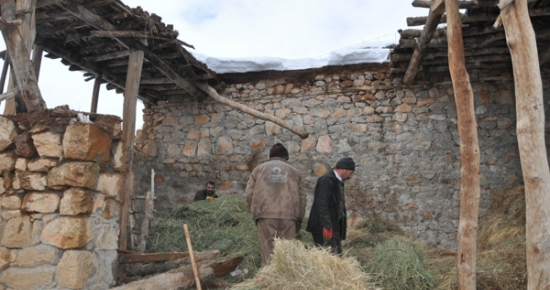 Aşırı Yağıştan, Samanlık Çöktü