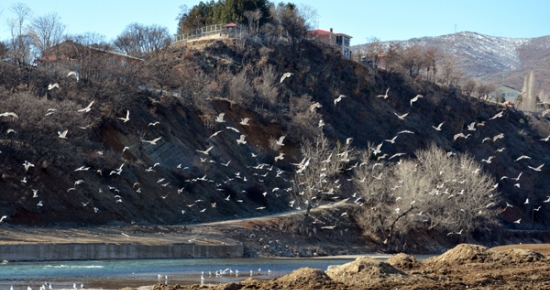 Tunceli'nin Biyolojik Çeşitliliği Kayıt Altına Alınıyor